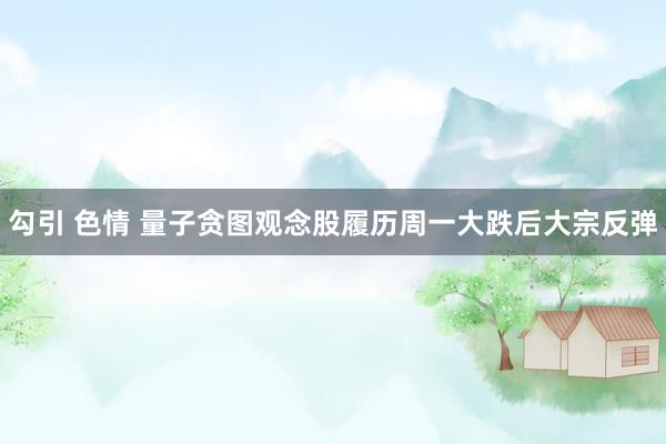 勾引 色情 量子贪图观念股履历周一大跌后大宗反弹