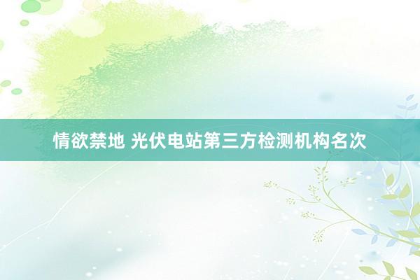 情欲禁地 光伏电站第三方检测机构名次
