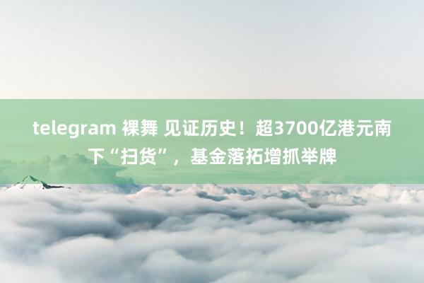 telegram 裸舞 见证历史！超3700亿港元南下“扫货”，基金落拓增抓举牌