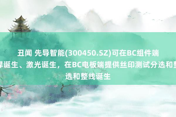 丑闻 先导智能(300450.SZ)可在BC组件端提供串焊诞生、激光诞生，在BC电板端提供丝印测试分选和整线诞生