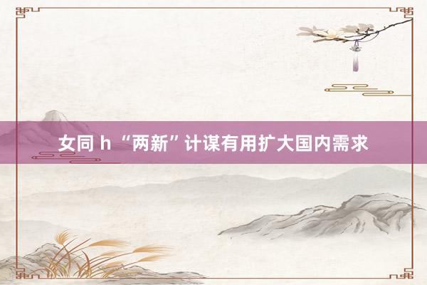 女同 h “两新”计谋有用扩大国内需求