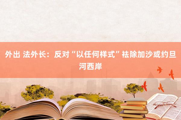 外出 法外长：反对“以任何样式”袪除加沙或约旦河西岸