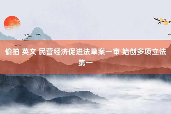 偷拍 英文 民营经济促进法草案一审 始创多项立法第一