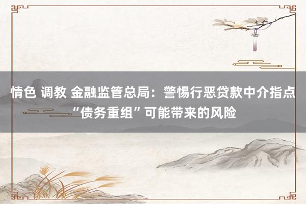 情色 调教 金融监管总局：警惕行恶贷款中介指点“债务重组”可能带来的风险