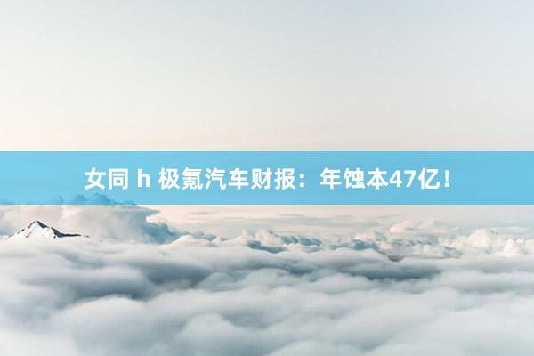 女同 h 极氪汽车财报：年蚀本47亿！