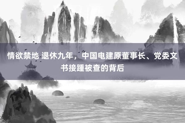 情欲禁地 退休九年，中国电建原董事长、党委文书接踵被查的背后