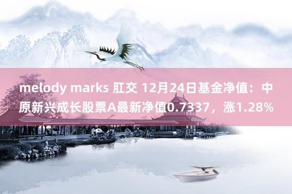 melody marks 肛交 12月24日基金净值：中原新兴成长股票A最新净值0.7337，涨1.28%