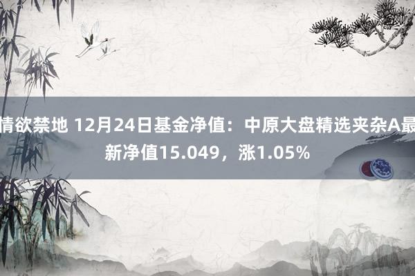 情欲禁地 12月24日基金净值：中原大盘精选夹杂A最新净值15.049，涨1.05%