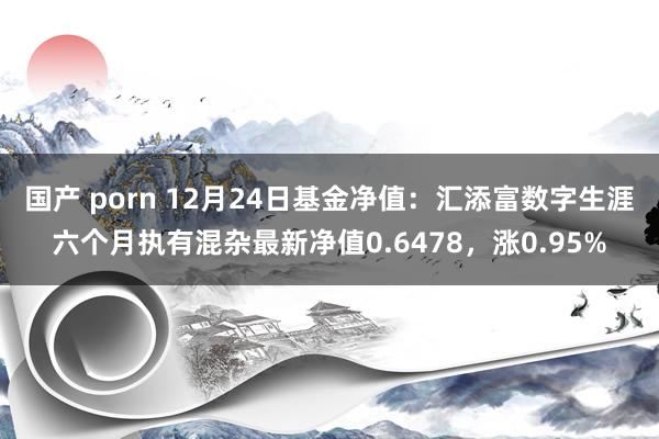 国产 porn 12月24日基金净值：汇添富数字生涯六个月执有混杂最新净值0.6478，涨0.95%