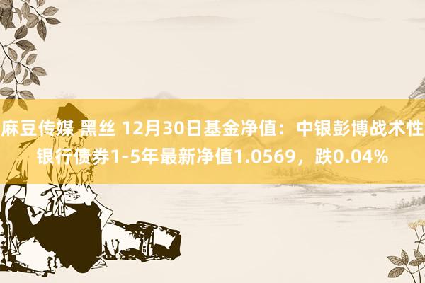 麻豆传媒 黑丝 12月30日基金净值：中银彭博战术性银行债券1-5年最新净值1.0569，跌0.04%