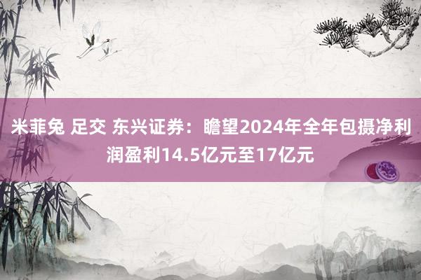 米菲兔 足交 东兴证券：瞻望2024年全年包摄净利润盈利14.5亿元至17亿元