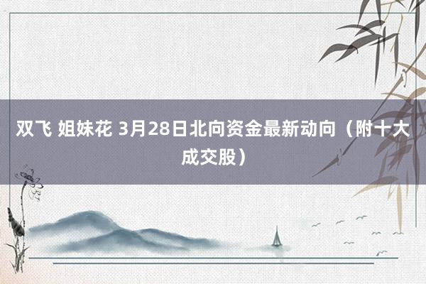 双飞 姐妹花 3月28日北向资金最新动向（附十大成交股）