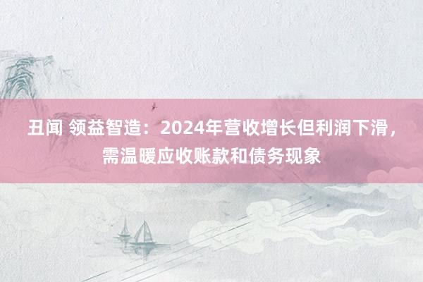 丑闻 领益智造：2024年营收增长但利润下滑，需温暖应收账款和债务现象