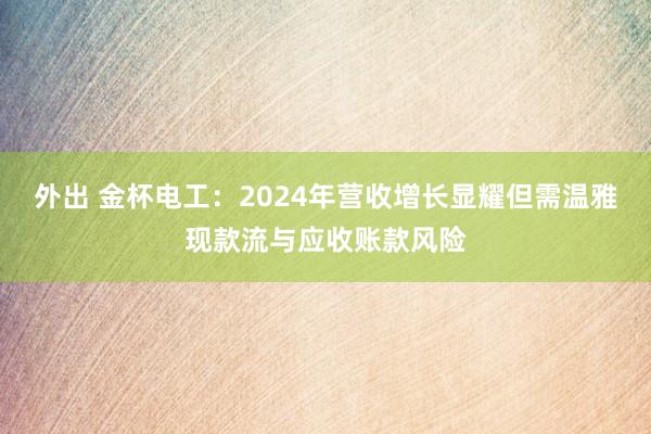 外出 金杯电工：2024年营收增长显耀但需温雅现款流与应收账款风险