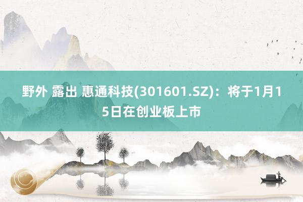 野外 露出 惠通科技(301601.SZ)：将于1月15日在创业板上市