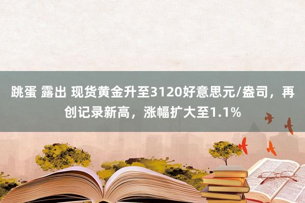跳蛋 露出 现货黄金升至3120好意思元/盎司，再创记录新高，涨幅扩大至1.1%