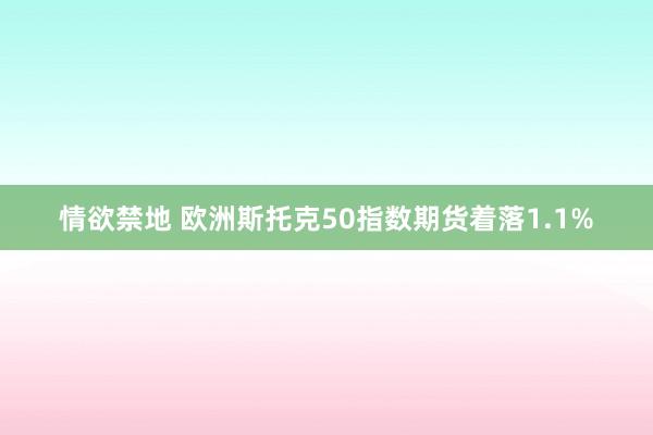 情欲禁地 欧洲斯托克50指数期货着落1.1%