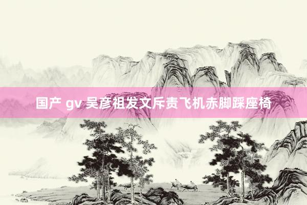 国产 gv 吴彦祖发文斥责飞机赤脚踩座椅