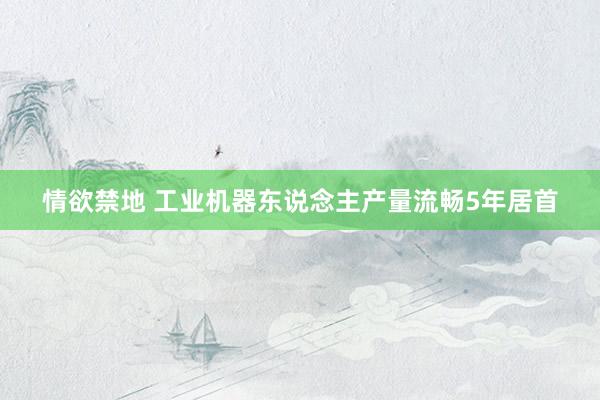情欲禁地 工业机器东说念主产量流畅5年居首