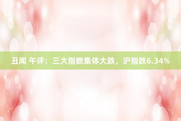 丑闻 午评：三大指数集体大跌，沪指跌6.34%