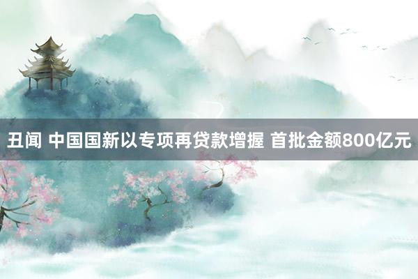 丑闻 中国国新以专项再贷款增握 首批金额800亿元