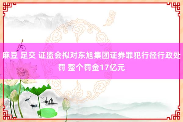 麻豆 足交 证监会拟对东旭集团证券罪犯行径行政处罚 整个罚金17亿元