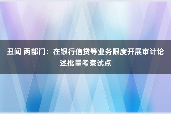 丑闻 两部门：在银行信贷等业务限度开展审计论述批量考察试点