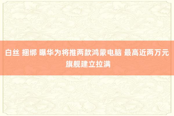 白丝 捆绑 曝华为将推两款鸿蒙电脑 最高近两万元 旗舰建立拉满