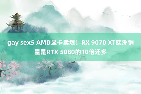 gay sex5 AMD显卡卖爆！RX 9070 XT欧洲销量是RTX 5080的10倍还多