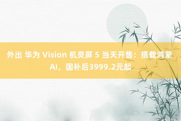 外出 华为 Vision 机灵屏 5 当天开售：搭载鸿蒙 AI，国补后3999.2元起