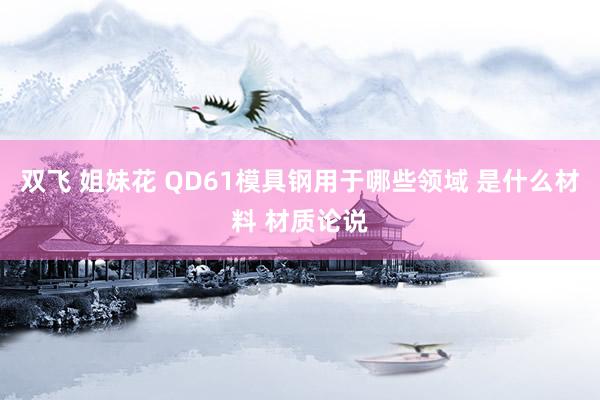 双飞 姐妹花 QD61模具钢用于哪些领域 是什么材料 材质论说