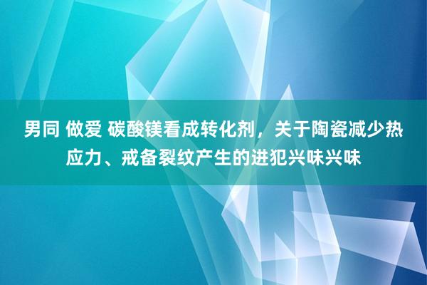 男同 做爱 碳酸镁看成转化剂，关于陶瓷减少热应力、戒备裂纹产生的进犯兴味兴味