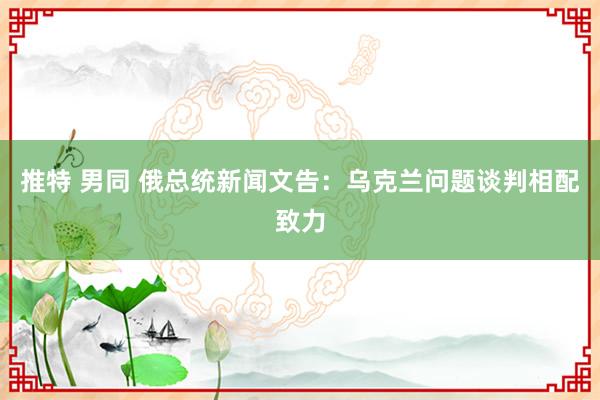 推特 男同 俄总统新闻文告：乌克兰问题谈判相配致力