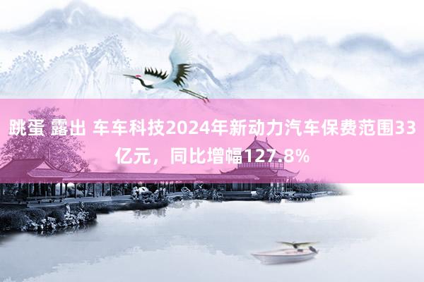 跳蛋 露出 车车科技2024年新动力汽车保费范围33亿元，同比增幅127.8%